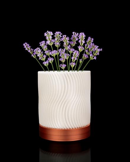 Greennest Mini Duvar Saksısı Sukulent Dekoratif Duvar Saksısı