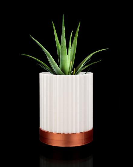 Greennest Mini Duvar Saksısı Sukulent Dekoratif Duvar Saksısı