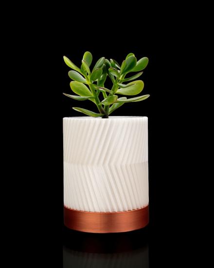 Greennest Mini Duvar Saksısı Sukulent Dekoratif Duvar Saksısı